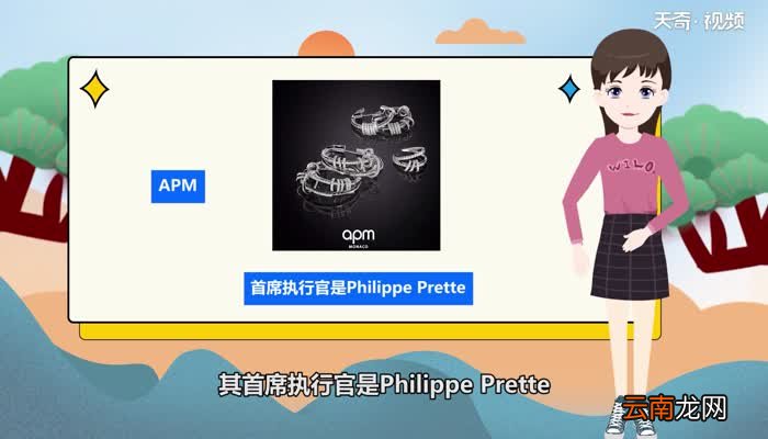 apm是什么牌子