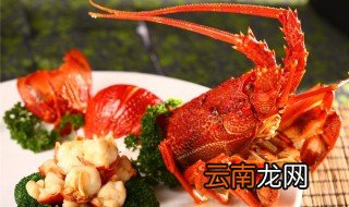 波龙和澳龙的区别 波龙和澳龙的区别是什么