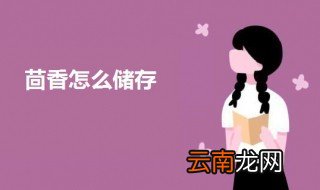 茴香怎么储存 茴香的储存方法
