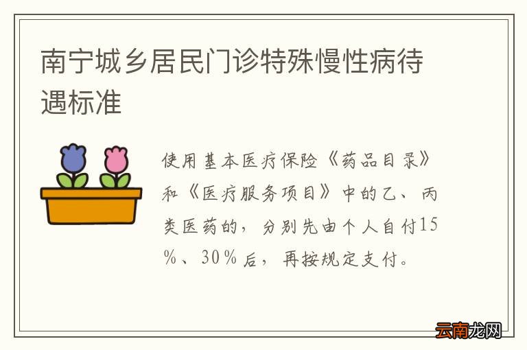 南宁城乡居民门诊特殊慢性病待遇标准