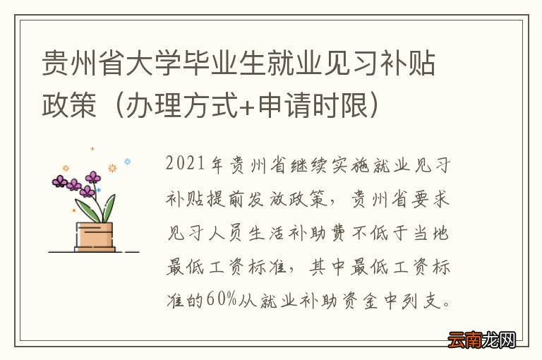 办理方式+申请时限 贵州省大学毕业生就业见习补贴政策