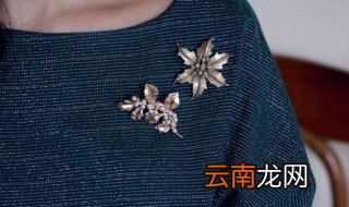 胸针佩戴在哪个位置 胸针具体应该佩戴在哪个位置