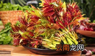 香椿焯水的原因 为什么香椿要焯水