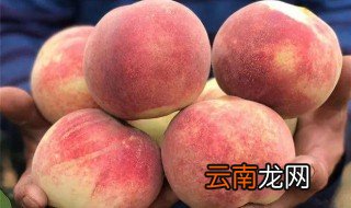 金秋红蜜桃产地哪里 金秋红蜜桃简单介绍
