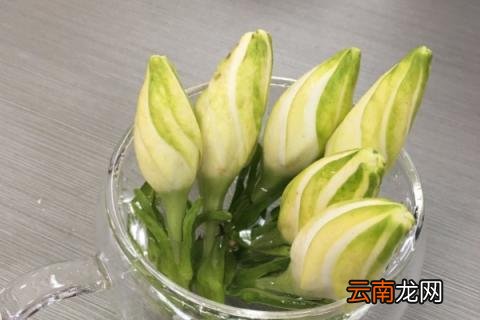 栀子花的花期多长时间