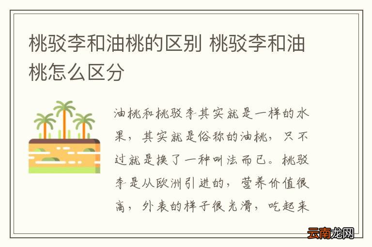 桃驳李和油桃的区别 桃驳李和油桃怎么区分