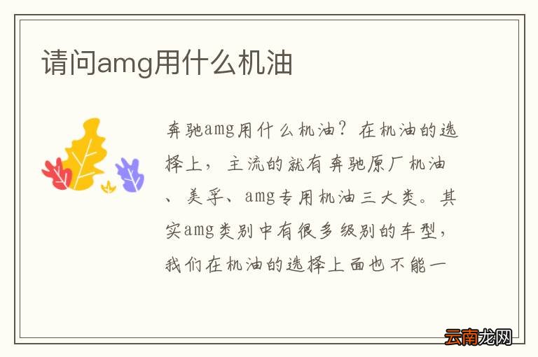 请问amg用什么机油
