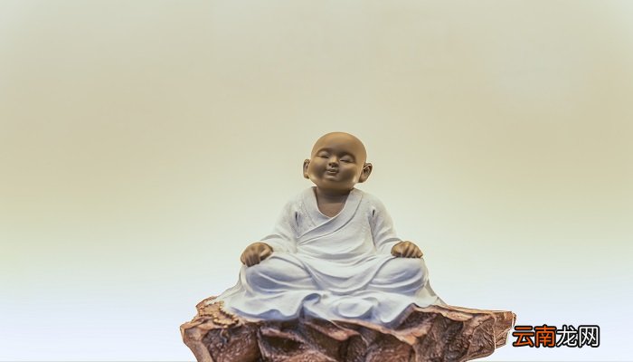 身是菩提树心如明镜台时时勤拂拭莫使惹尘埃是什么意思 身是菩提树的意思