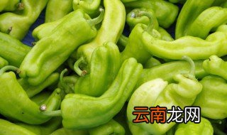 辣椒炒腊牛肉的做法窍门 辣椒炒腊牛肉的烹饪方法