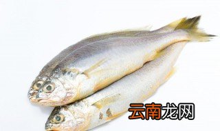 红烧大黄鱼的正确方法 红烧大黄鱼怎么做