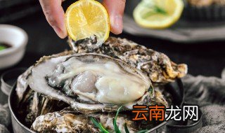 牡蛎汤的做法和配方 牡蛎汤怎么做