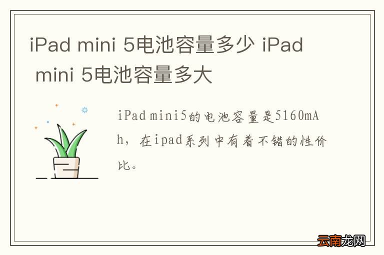 iPad mini 5电池容量多少 iPad mini 5电池容量多大
