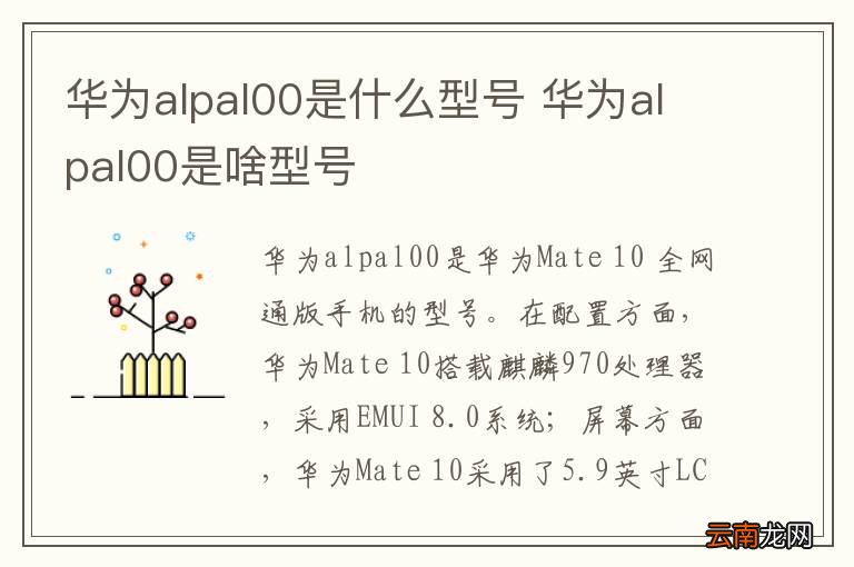 华为alpal00是什么型号 华为alpal00是啥型号