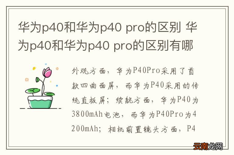 华为p40和华为p40 pro的区别 华为p40和华为p40 pro的区别有哪些