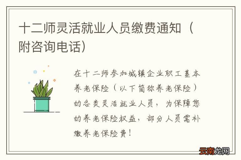 附咨询电话 十二师灵活就业人员缴费通知