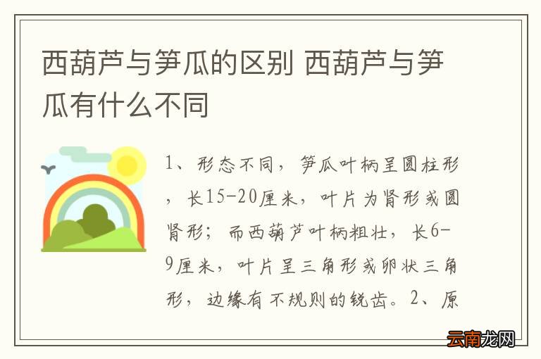 西葫芦与笋瓜的区别 西葫芦与笋瓜有什么不同
