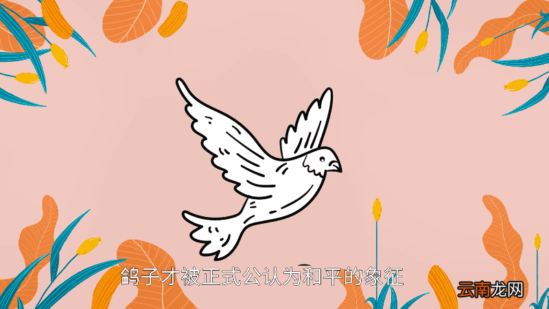 鸽子为什么是和平的象征 鸽子为何是和平的象征