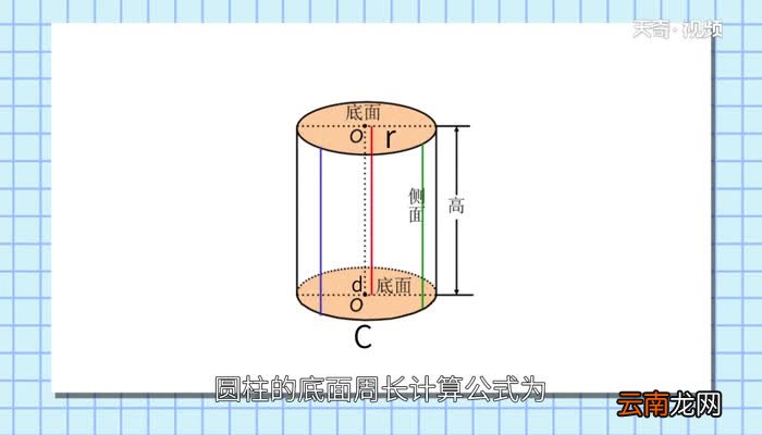 圆柱的底面周长计算公式圆柱的底面周长公式怎么计算