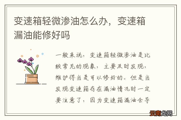 变速箱轻微渗油怎么办，变速箱漏油能修好吗