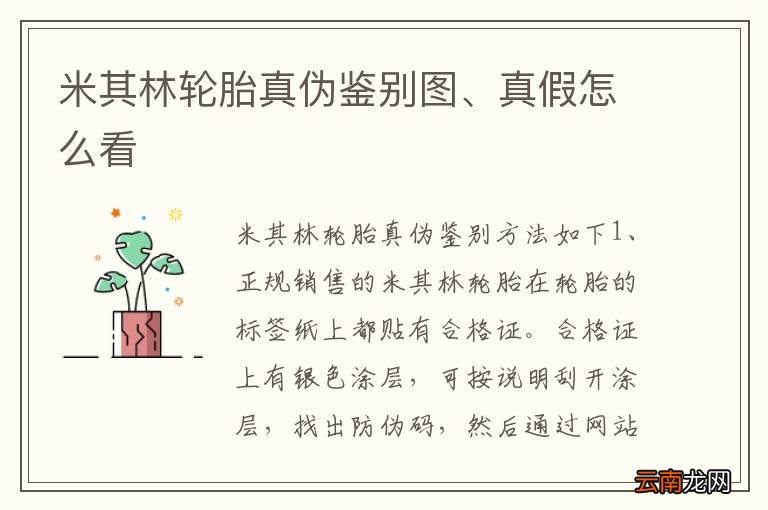 米其林轮胎真伪鉴别图、真假怎么看