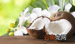 椰青和椰子的区别在哪里 椰青和椰子的区别是什么