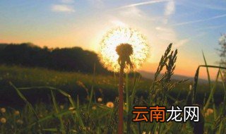 简单文案 简单干净的文案