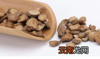 牛蒡茶怎么储存 牛蒡茶如何储存