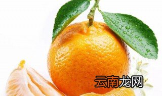 橘子怎么保鲜 怎么保鲜橘子