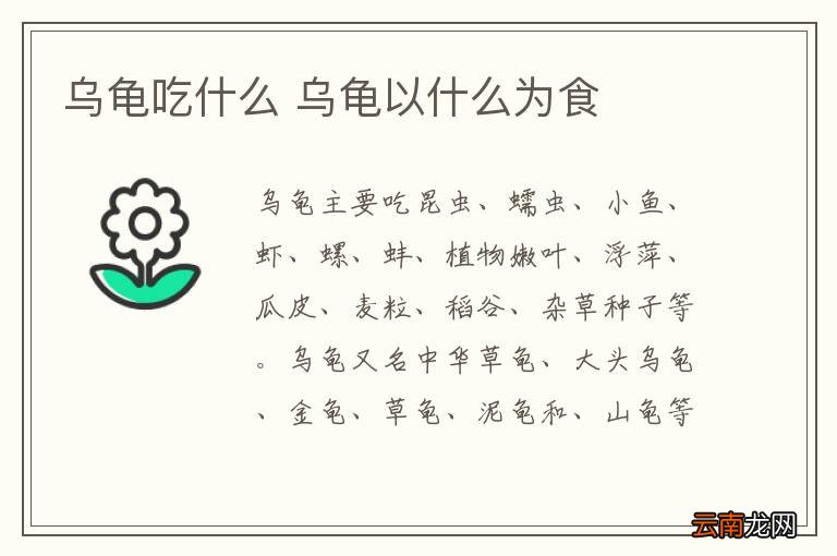 乌龟吃什么 乌龟以什么为食