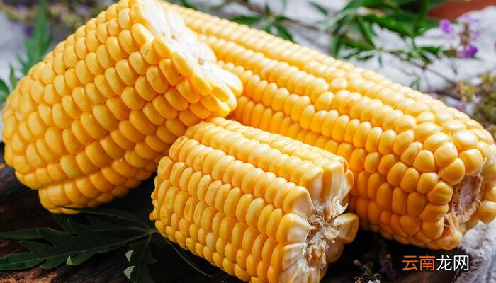 玉米煮多久熟 煮玉米多长时间才熟