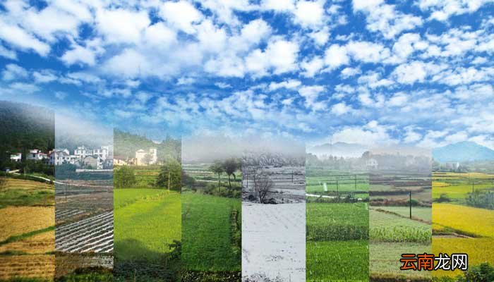 四季之美写作背景 四季之美写作背景资料