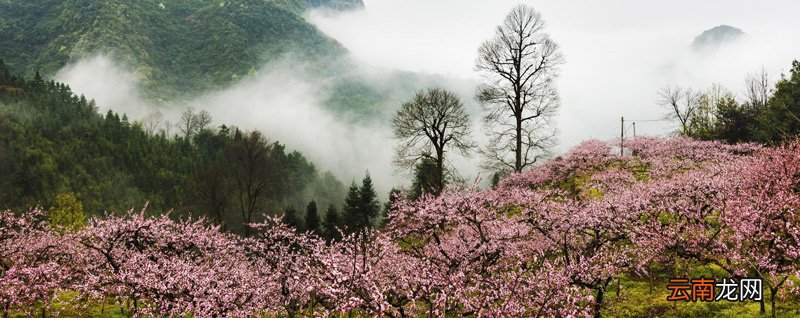 桃花溪的诗意 桃花溪表达了什么