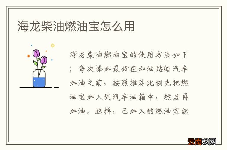 海龙柴油燃油宝怎么用