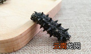 干海参怎么选好坏 干海参怎么挑选