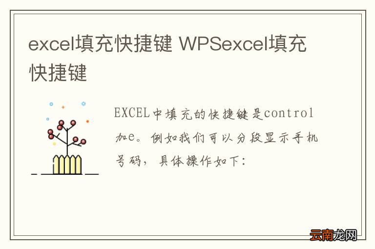excel填充快捷键 WPSexcel填充快捷键