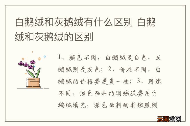 白鹅绒和灰鹅绒有什么区别 白鹅绒和灰鹅绒的区别