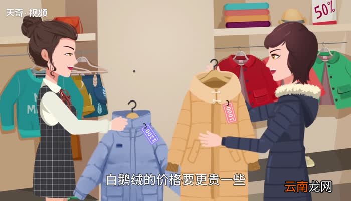 白鹅绒和灰鹅绒有什么区别 白鹅绒和灰鹅绒的区别