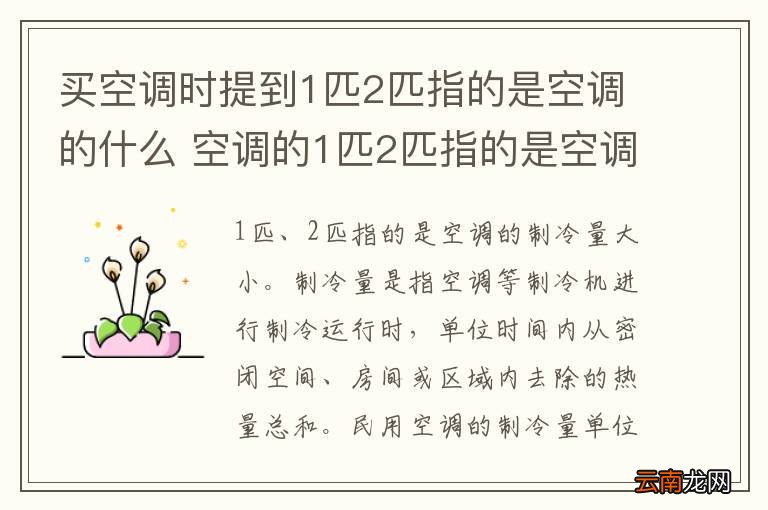 买空调时提到1匹2匹指的是空调的什么 空调的1匹2匹指的是空调的什么