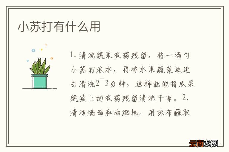 小苏打有什么用
