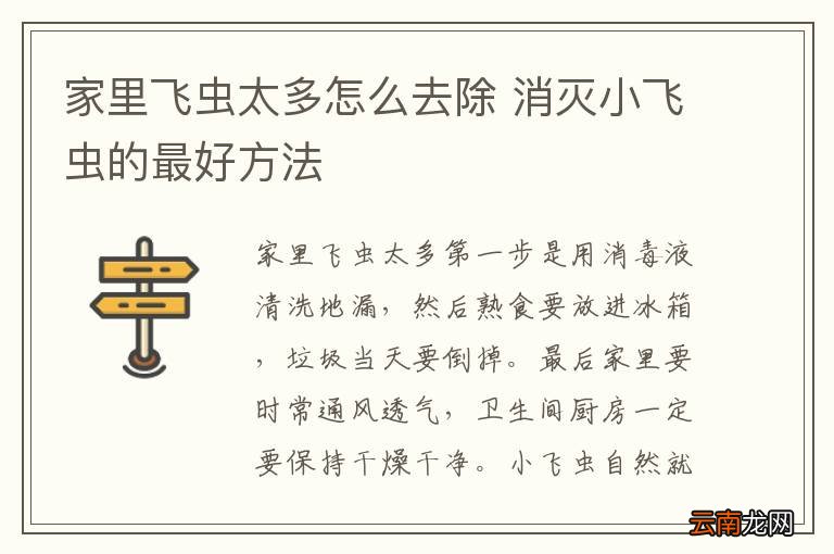 家里飞虫太多怎么去除 消灭小飞虫的最好方法
