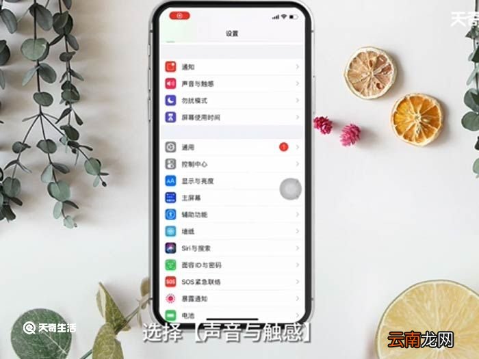 苹果手机来电铃声小怎么调大 苹果手机来电铃声小操作方法