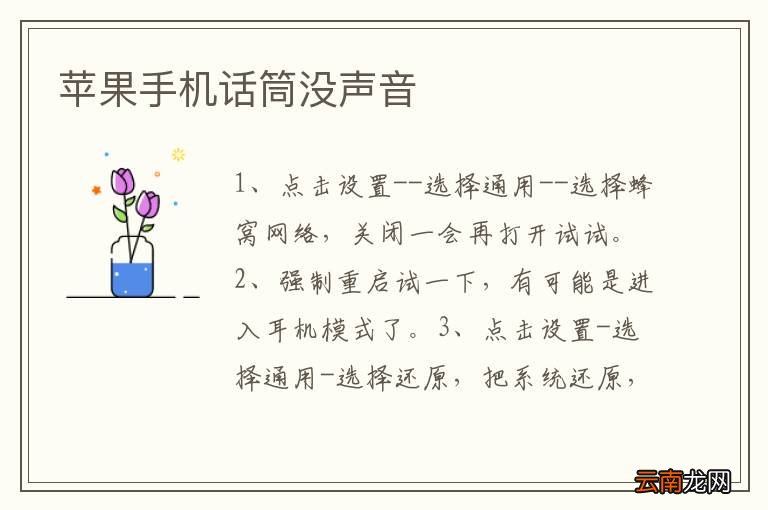 苹果手机话筒没声音