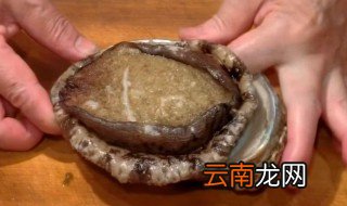 如何正确清理鲍鱼 清理鲍鱼的方法