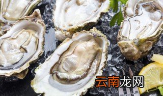 如何正确且快捷地打开生蚝 生蚝怎么打开方便