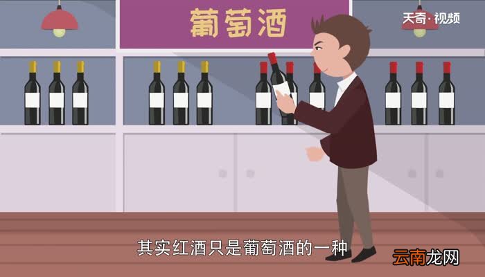 红酒和葡萄酒的区别 红酒和葡萄酒有什么区别