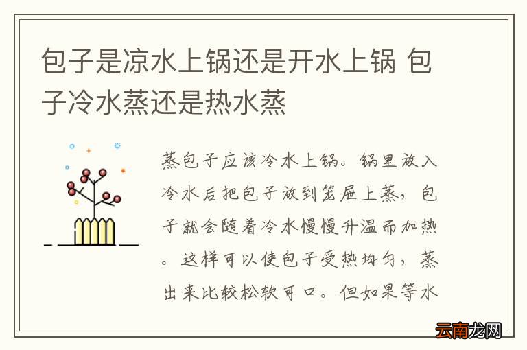 包子是凉水上锅还是开水上锅 包子冷水蒸还是热水蒸