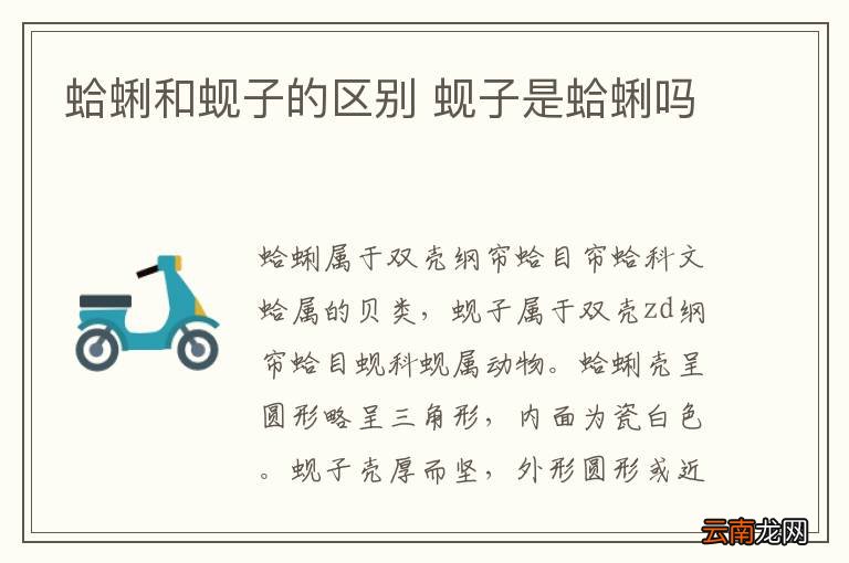 蛤蜊和蚬子的区别 蚬子是蛤蜊吗