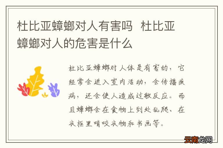 杜比亚蟑螂对人有害吗杜比亚蟑螂对人的危害是什么