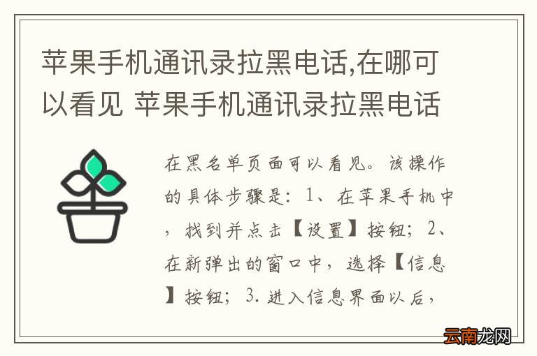 苹果手机通讯录拉黑电话,在哪可以看见 苹果手机通讯录拉黑电话,在什么地方可以看见