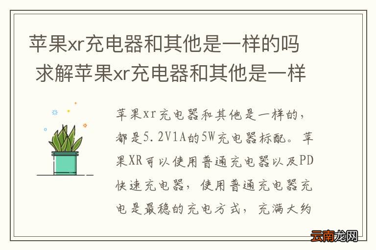 苹果xr充电器和其他是一样的吗 求解苹果xr充电器和其他是一样的吗